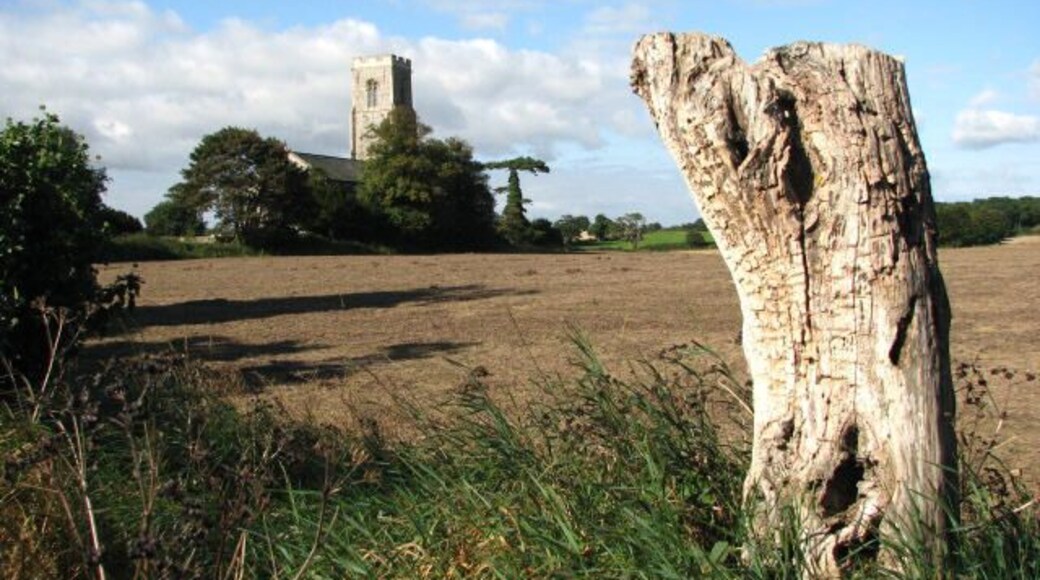 View southwest from Honing Long Lane St Peter & St Paul's church, Honing, can be seen across the field.