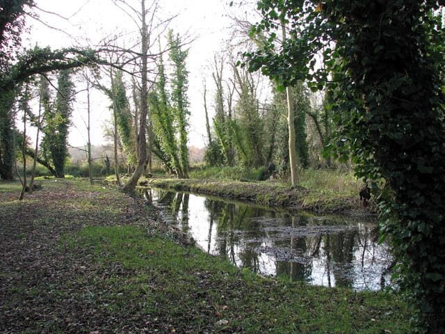 Honing Staithe. Recently reclaimed from nature. The first stage of the Canal Walk > 1053555 was opened by Norman Lamb, MP for North Norfolk, on Sunday 28th September 2008. A section of the canal at the entrance to Honing Staithe > 1053570 was cleared and a new walk was created - it turns off the Weavers Way and rejoins it by the staithe, above Dee/Horning Bridge > 1053529 - by work parties of the East Anglian Waterways Association and the North Walsham and Dilham Canal Trust. The Trust was formed in January 2008 with the aim to conserve and improve the route of the canal and its branches for the benefit of the community and environment and to promote access to the navigation for all. With the support of the Canal Company and the owners of the woodland around the cut, scrub and dangerous trees on either side of the basin, and alongside the canal were cleared; the canal basin was dredged and water reintroduced, and a footbridge was constructed over the soke dyke > 1053612. Over the coming months work parties will continue to expand the cleared area around the basin and tackle the muddier parts of the walk. http://eawa.co.uk/walsham.html The North Walsham and Dilham Canal runs parallel to the River Ant from above Wayford Bridge > https://www.geograph.org.uk/photo/798701 - https://www.geograph.org.uk/photo/798747 to Antingham > https://www.geograph.org.uk/photo/716931 - north of North Walsham > https://www.geograph.org.uk/photo/617099. The canal was built to carry grain and flour to and from the mills by wherry. The now disused Honing lock > https://www.geograph.org.uk/photo/1050960 is the first lock on the canal; a crump-type weir is utilising the fall of the navigation lock.
