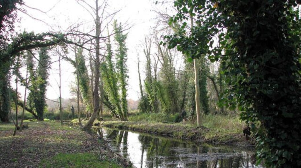 Honing Staithe. Recently reclaimed from nature. The first stage of the Canal Walk > 1053555 was opened by Norman Lamb, MP for North Norfolk, on Sunday 28th September 2008. A section of the canal at the entrance to Honing Staithe > 1053570 was cleared and a new walk was created - it turns off the Weavers Way and rejoins it by the staithe, above Dee/Horning Bridge > 1053529 - by work parties of the East Anglian Waterways Association and the North Walsham and Dilham Canal Trust. The Trust was formed in January 2008 with the aim to conserve and improve the route of the canal and its branches for the benefit of the community and environment and to promote access to the navigation for all. With the support of the Canal Company and the owners of the woodland around the cut, scrub and dangerous trees on either side of the basin, and alongside the canal were cleared; the canal basin was dredged and water reintroduced, and a footbridge was constructed over the soke dyke > 1053612. Over the coming months work parties will continue to expand the cleared area around the basin and tackle the muddier parts of the walk. http://eawa.co.uk/walsham.html The North Walsham and Dilham Canal runs parallel to the River Ant from above Wayford Bridge > https://www.geograph.org.uk/photo/798701 - https://www.geograph.org.uk/photo/798747 to Antingham > https://www.geograph.org.uk/photo/716931 - north of North Walsham > https://www.geograph.org.uk/photo/617099. The canal was built to carry grain and flour to and from the mills by wherry. The now disused Honing lock > https://www.geograph.org.uk/photo/1050960 is the first lock on the canal; a crump-type weir is utilising the fall of the navigation lock.