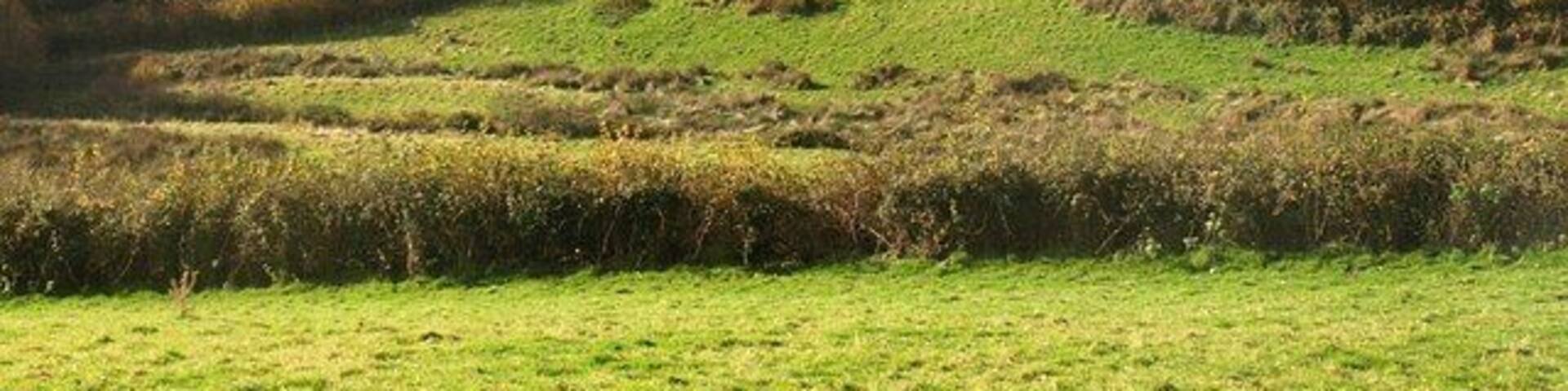Shuttaford from Magpie Hill. A view of the farm also shown in 1053919.