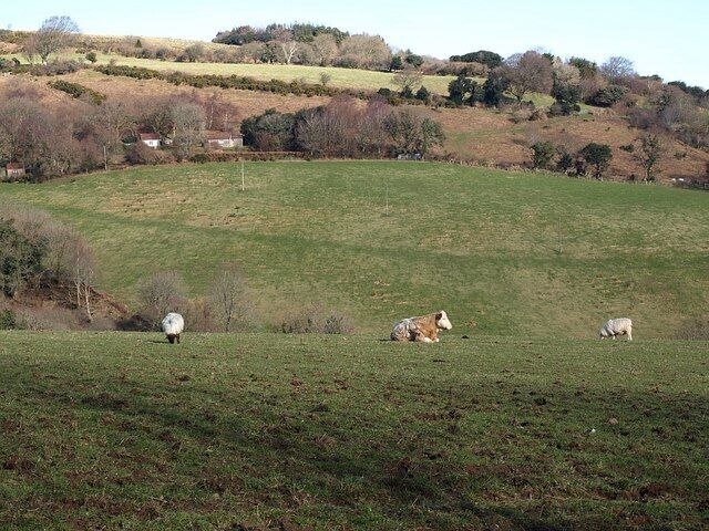 Across Great Combe from the south Holne Bridleway 3 heads to and fro in the bracken-covered field above the buildings, as it climbs above Great Combe. This view across the valley is from Holne Bridleway 4.