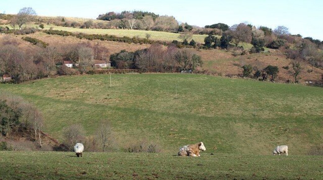 Across Great Combe from the south Holne Bridleway 3 heads to and fro in the bracken-covered field above the buildings, as it climbs above Great Combe. This view across the valley is from Holne Bridleway 4.