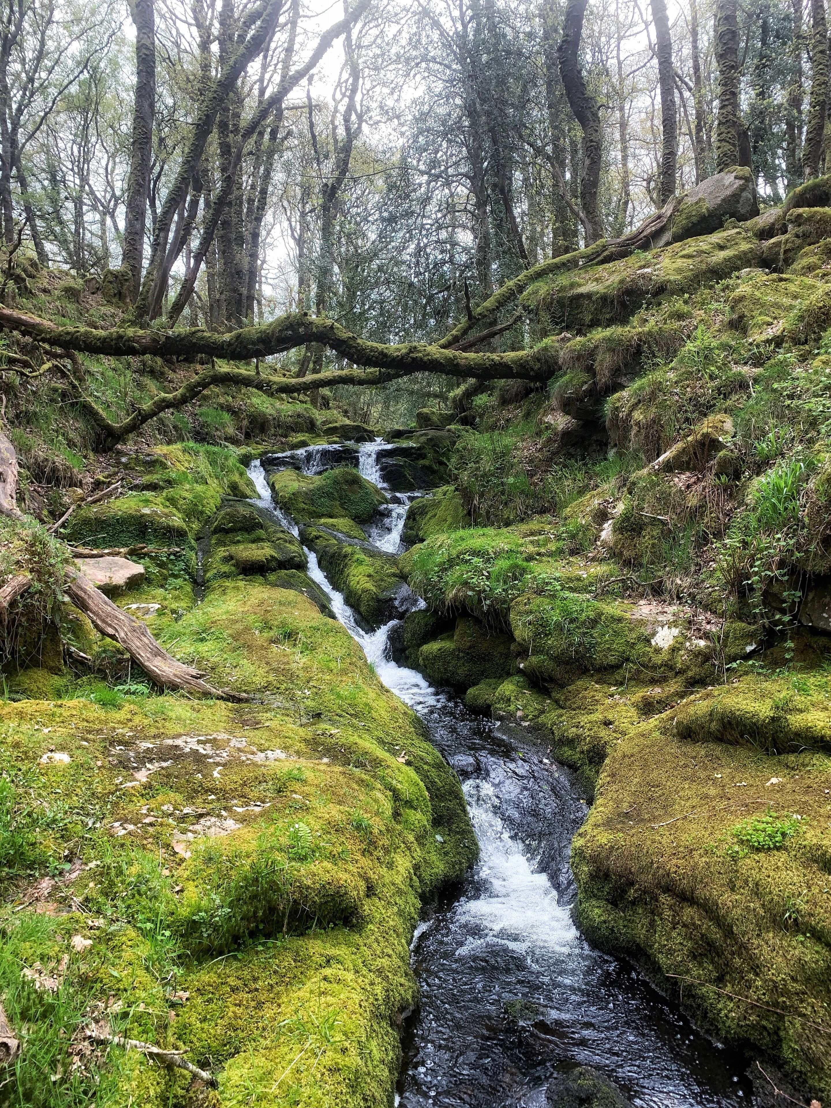 Venford valley to East Dart.