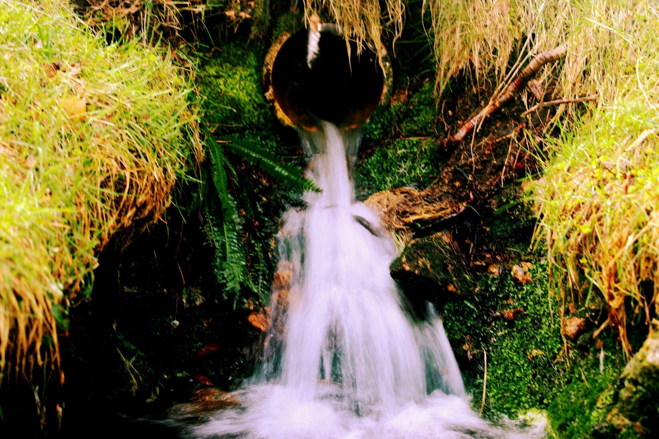 A waterfall flowing through a moss-covered cave entrance surrounded by grass.