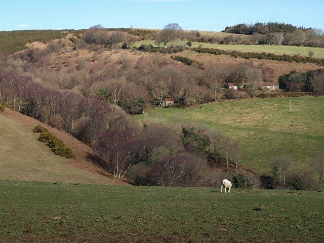 Great Combe. A similar scene to 1180087, looking more to the west. The cleft of the combe climbs to the left towards open moorland above Holne.
