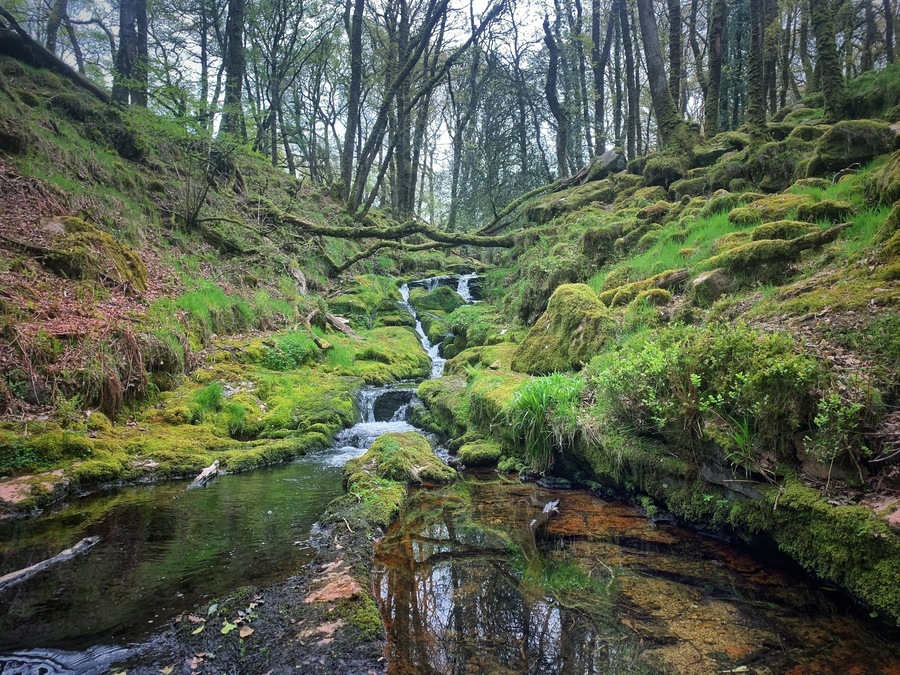 From Venford Reservoir into the valley to find beautiful woodlands.