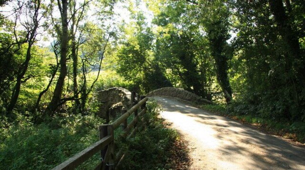 Bridge over Holy Brook On the lane between Littlecombe and Scoriton.