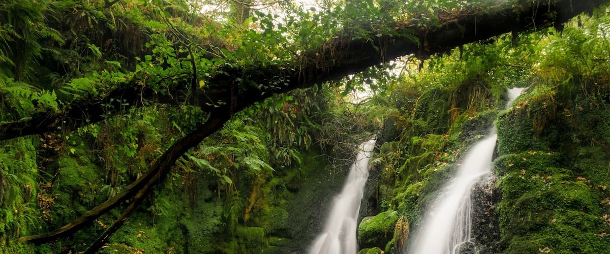 The beautiful twin Venford Falls, just a short walk from the reservoir on Dartmoor.
After not knowing of it's location and only of it's existence I set off and had massive difficulty find it so here is a little heads up...
After parking in the Venford Reservoir car park, follow the path away from the reservoir, the lower side of the damn. Sticking to the path closest to the river make sure that within five minutes of walking you have started to scramble down the bank to get to the river (there are a couple of obvious trails to lead you there) once at the river just follow it until you come to this beautiful opening.
If you arrive at the large river Dart ... you have gone too far so just turn around and keep an eye out for it on your way back 👍
Happy exploring!