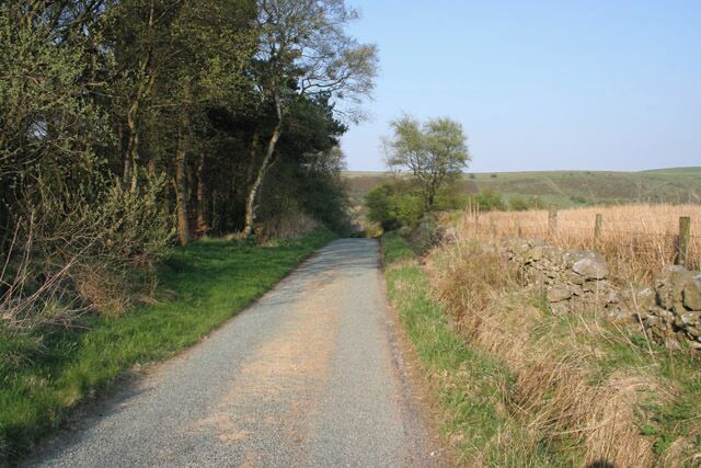 Brand Plantation, Peak District National Park. A stand of mixed woodland to the left, open fields to the right and Edge Top in the distance.