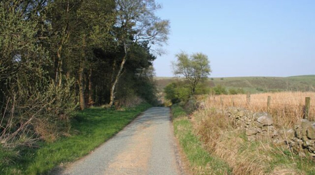 Brand Plantation, Peak District National Park. A stand of mixed woodland to the left, open fields to the right and Edge Top in the distance.