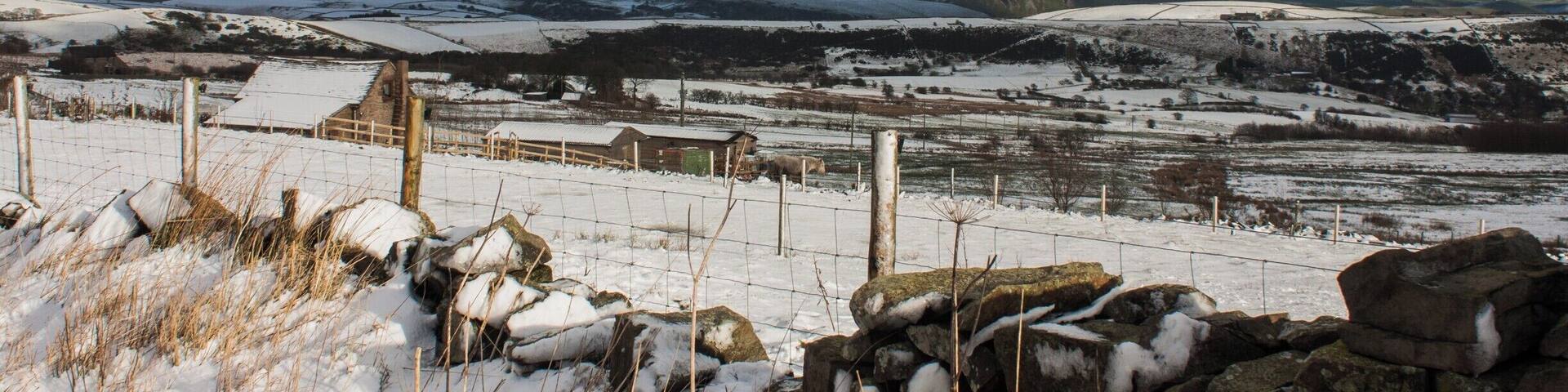 Snow in the Peak District today. This is just off the road between Leek and Buxton.