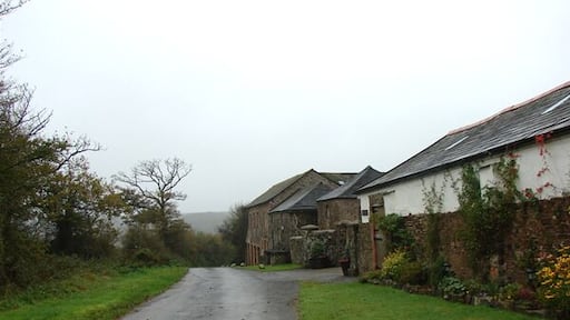 Farm buildings near Hollacombe Looking southwest.