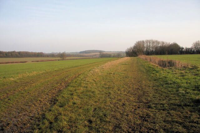 A rural landscape with a plowed field, a dirt path, and distant trees.