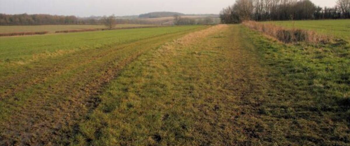 A rural landscape with a plowed field, a dirt path, and distant trees.