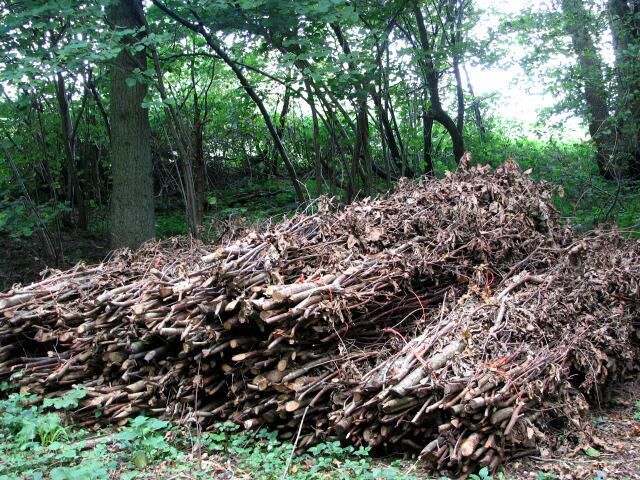 Bundles of sticks - detail