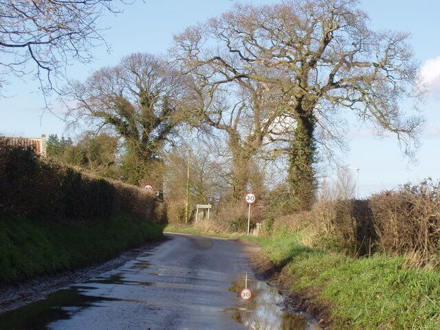Entering the village Just to warn the motorists that there is life in the seemingly-deserted roads around North Norfolk, the 30 mph sign is clear to see for all those driving into Hindolveston. (the trees are oak of some kind)