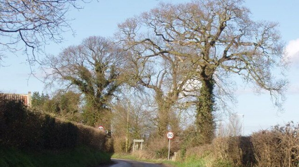 Entering the village Just to warn the motorists that there is life in the seemingly-deserted roads around North Norfolk, the 30 mph sign is clear to see for all those driving into Hindolveston. (the trees are oak of some kind)