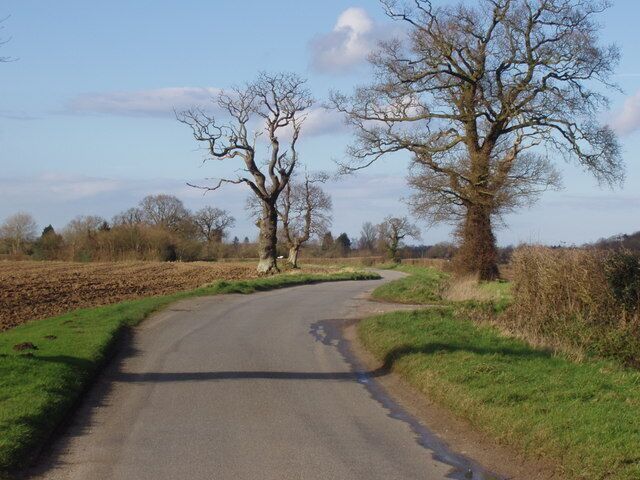 A rural road with leafless trees and open fields.