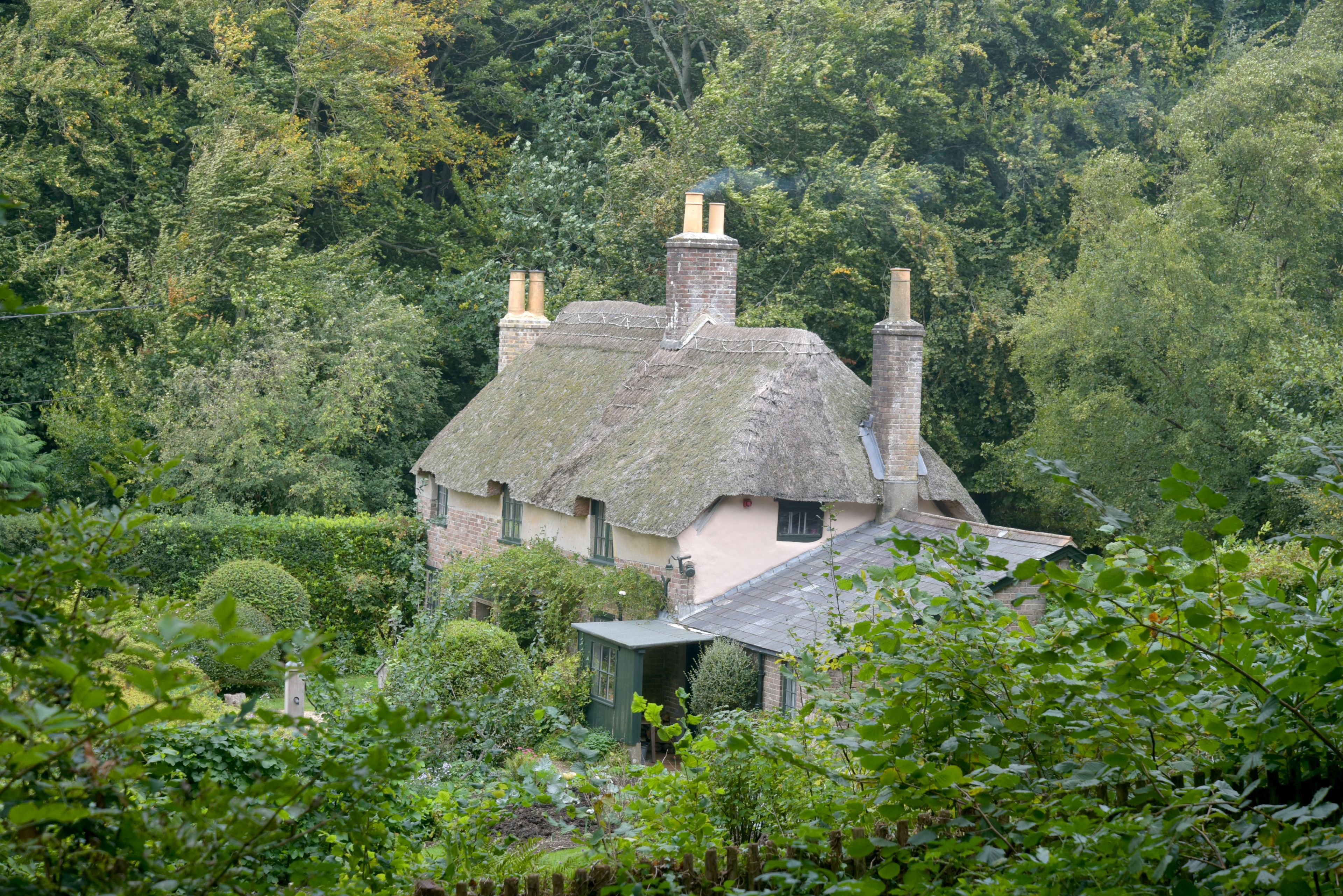 A thatched-roof house surrounded by lush greenery.