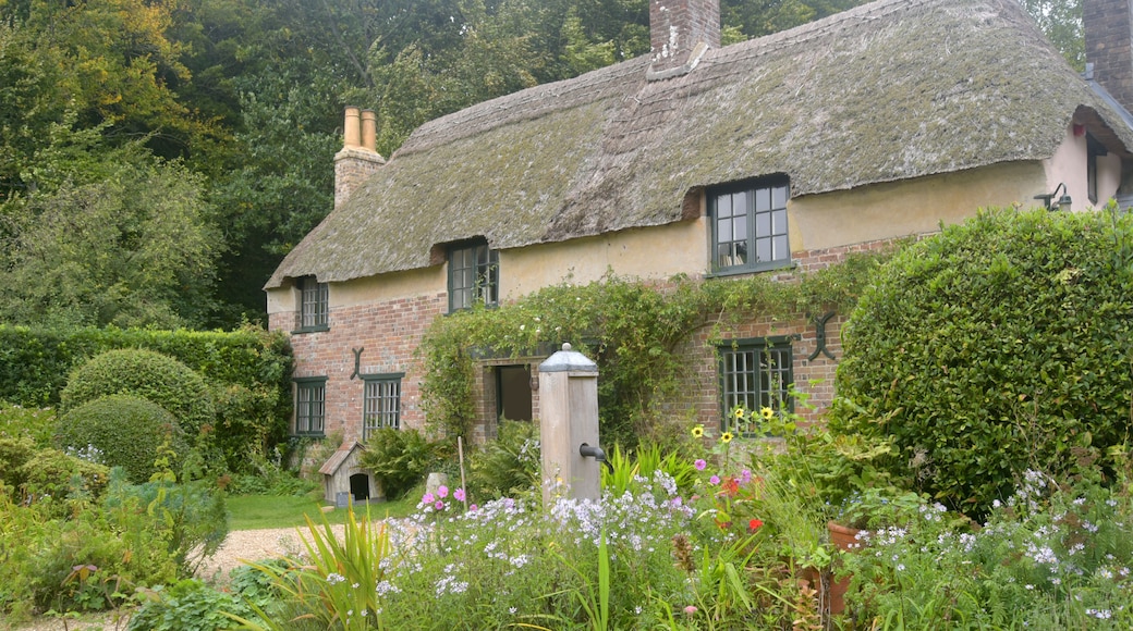 A traditional thatched-roof cottage with a brick chimney, surrounded by a well-maintained garden with various flowering plants and neatly trimmed hedges.