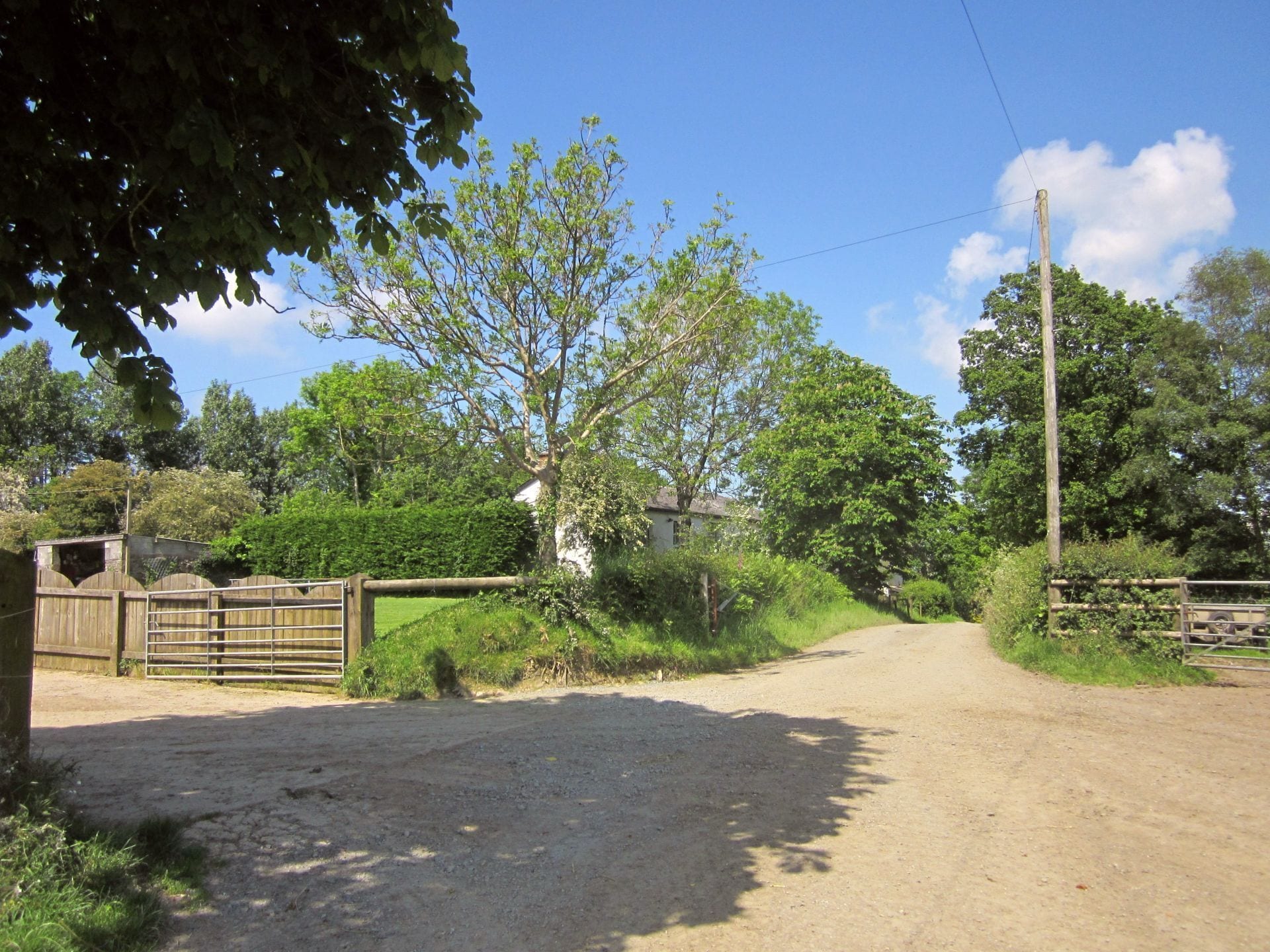 A rural dirt road flanked by trees and fences, leading to a gated area.