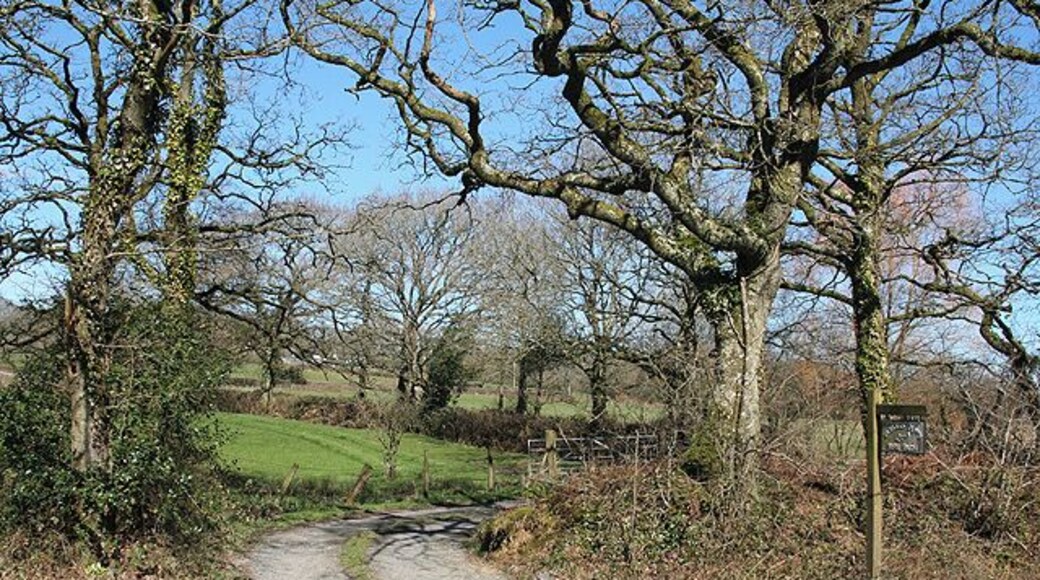 Highampton: entrance to Parkers Down Seen from the A3072 Bude-Hatherleigh road. Looking north