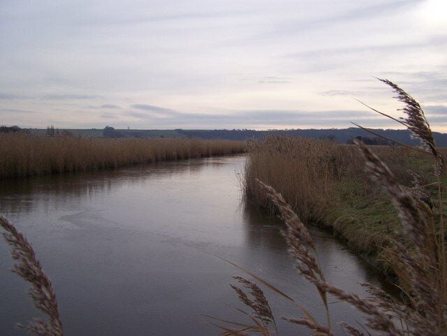 Un río tranquilo con altas hierbas en las orillas, un cielo nublado y colinas a lo lejos.