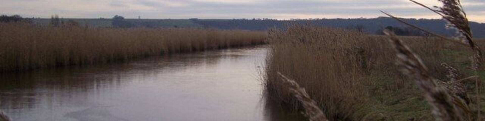 Un río tranquilo con altas hierbas en las orillas, un cielo nublado y colinas a lo lejos.