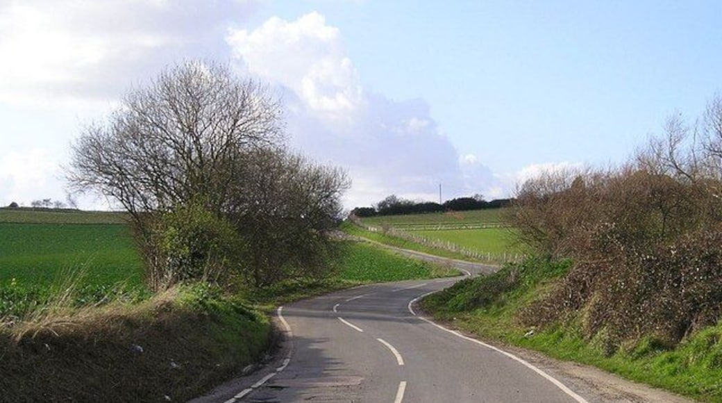 Road between High Halstow and Cooling