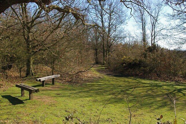 Saxon Shore Way Looking along the Saxon Shore Way at 361557
