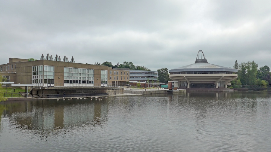York University
