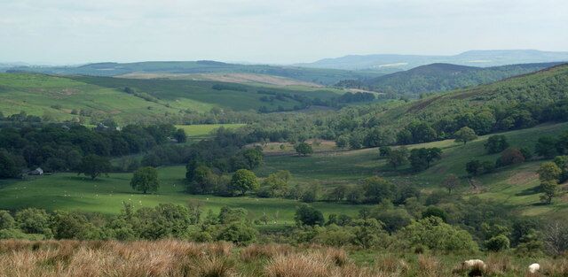 Billsmoor Park View looking across Billsmoor Park towards the valley of Grasslees Burn.