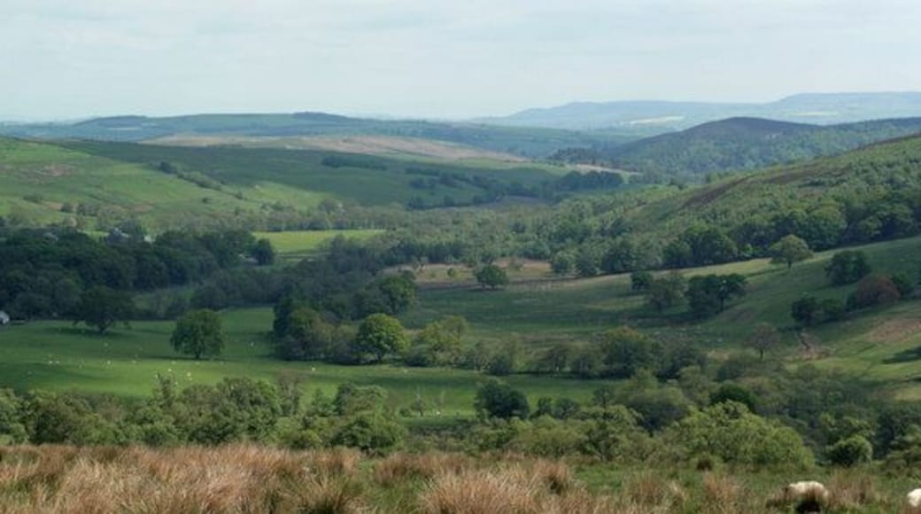 Billsmoor Park View looking across Billsmoor Park towards the valley of Grasslees Burn.