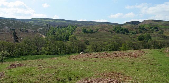 Darden Burn View looking up darden Burn running between Humble Law (left) and Cloven Crag (right).