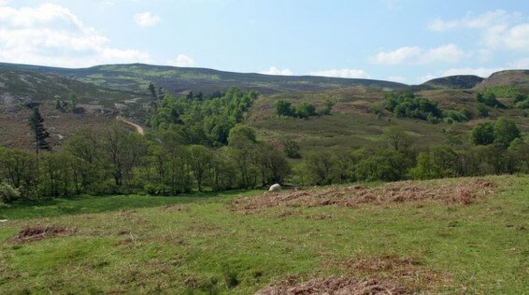 Darden Burn View looking up darden Burn running between Humble Law (left) and Cloven Crag (right).