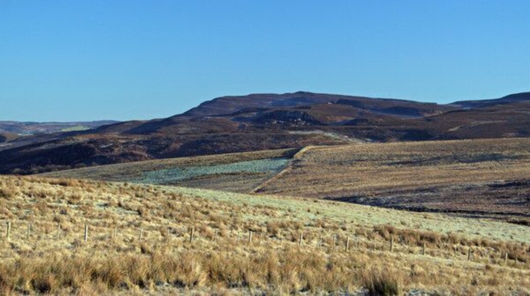 Jock's Cleugh View looking across Jock's Cleugh towards Billsmoor Park. The Simonside Hills are in the background.