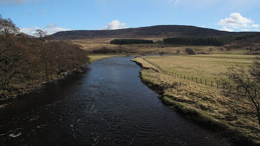 River Coquet River Coquet near Hepple.