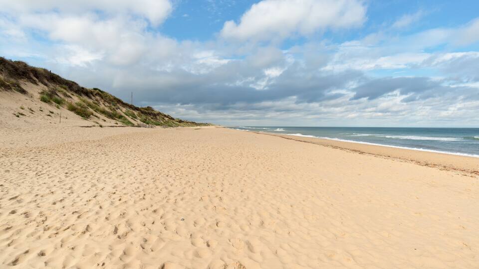 A sandy beach with gentle waves and a grassy dune in the background.
