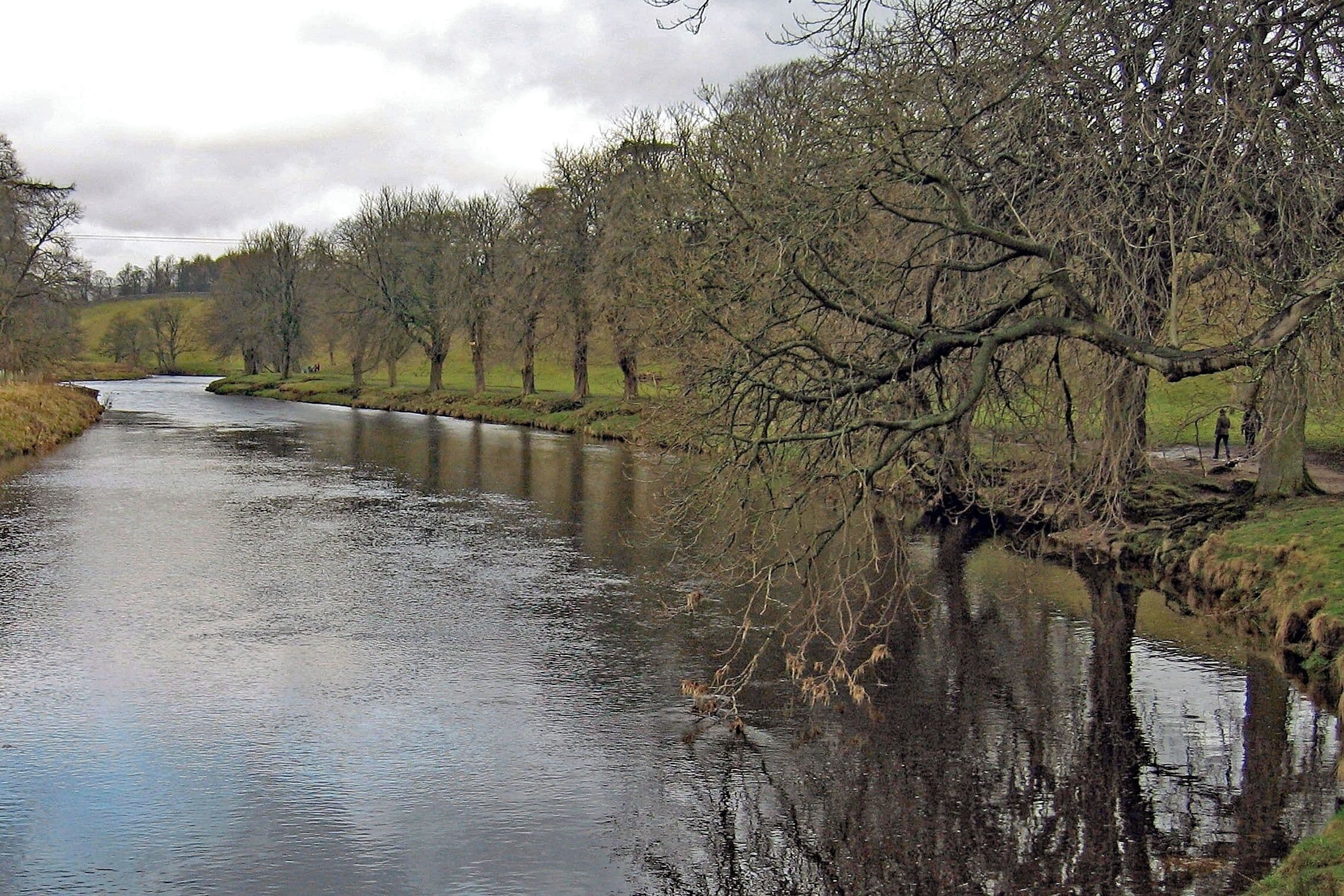 Lovely tree-lined riverside walkway between Grassington and Hebden, North Yorkshire.  Photo taken from the Hebden suspension bridge.