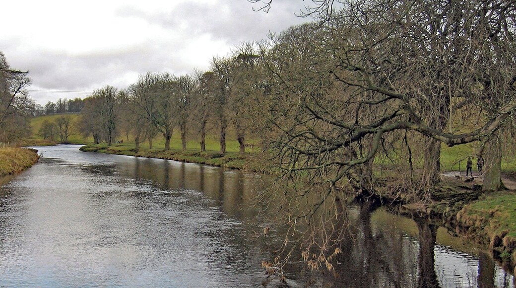 Lovely tree-lined riverside walkway between Grassington and Hebden, North Yorkshire. Photo taken from the Hebden suspension bridge.