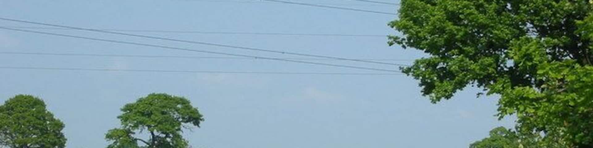 Scarborough train First Transpennine class 185