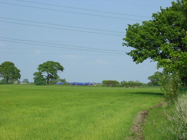 A green field with a blue bus in the distance and power lines overhead.