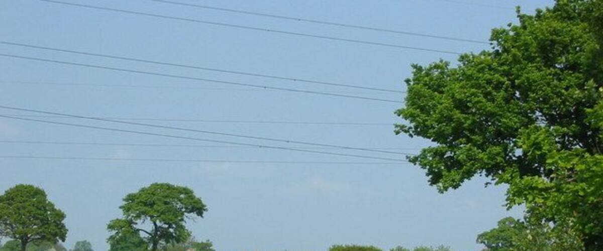 A green field with a blue bus in the distance and power lines overhead.