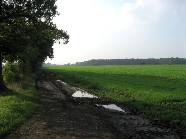 It Hadn't Rained For Several Days Yet puddles persist on the farm track opposite the track to White House Farm.