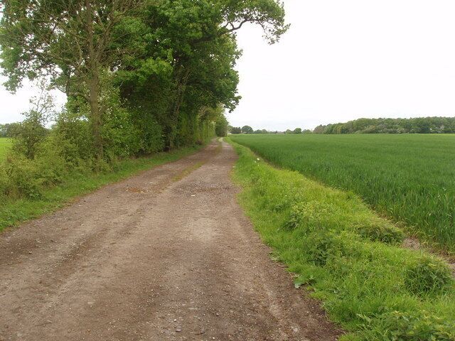 Agricultural Access Lane leading to High Grange