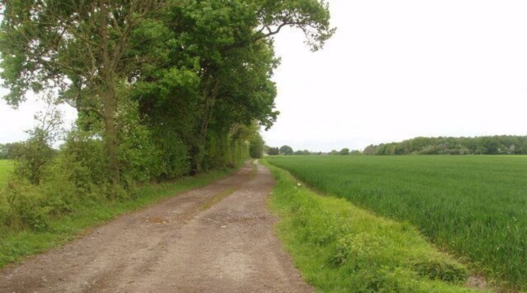 Agricultural Access Lane leading to High Grange