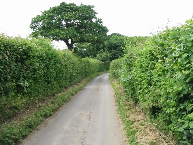 View along Pay Street from the SE