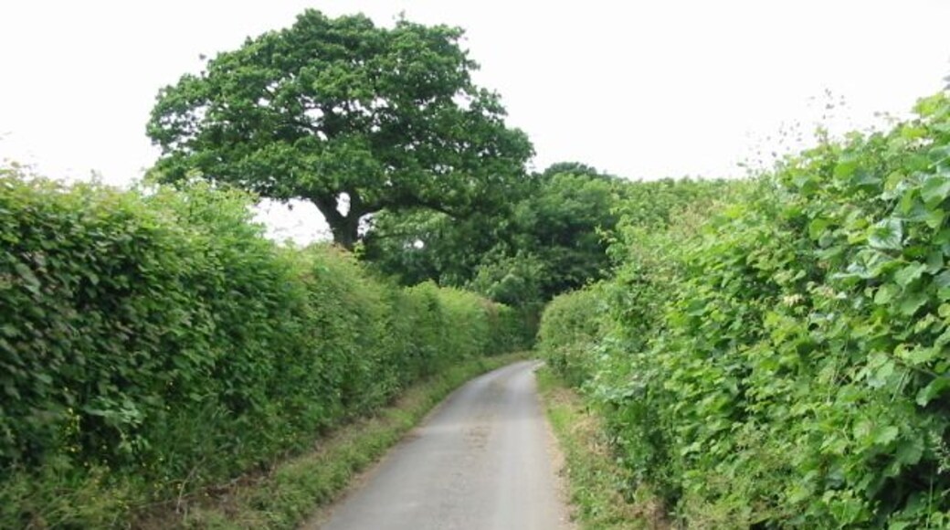 View along Pay Street from the SE