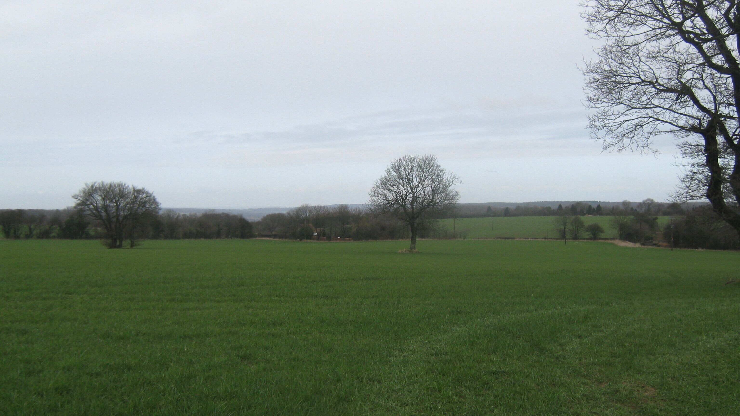 View towards Little Combe Looking Northwards from the byway and footpath junction.