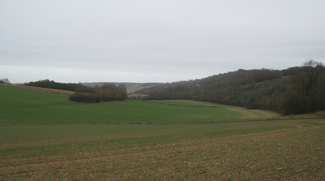 View of the Crundale Downs Valley As seen from the bridleway from Coobe Manor towards Pett Street Farm.